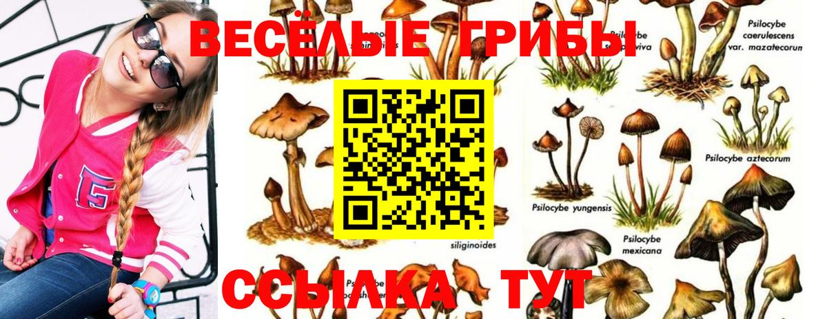 наркотики  Галлюциногенные грибы мухоморы  Галлюциногенные грибы GOLDEN TEACHER  Вход с VPN  Одинцово 